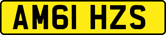 AM61HZS
