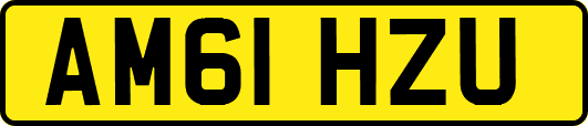 AM61HZU