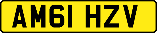 AM61HZV