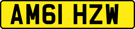 AM61HZW