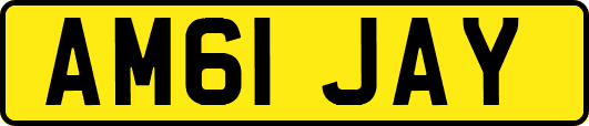 AM61JAY