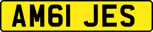 AM61JES