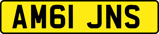 AM61JNS