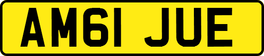 AM61JUE