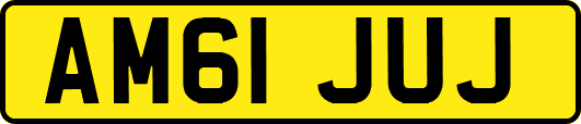 AM61JUJ