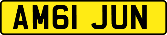 AM61JUN