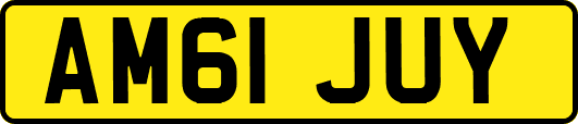 AM61JUY