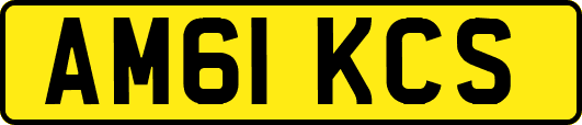 AM61KCS