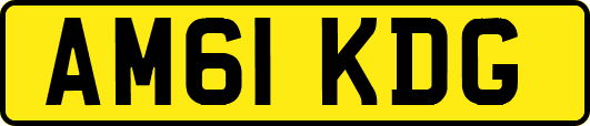 AM61KDG
