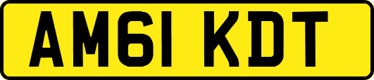 AM61KDT