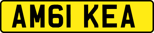 AM61KEA