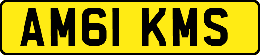AM61KMS