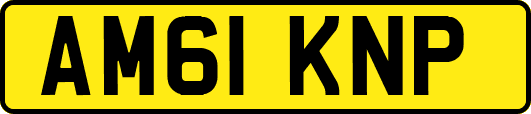 AM61KNP