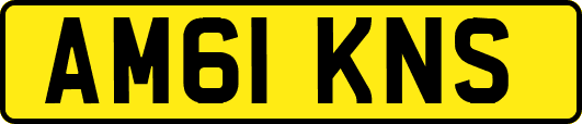 AM61KNS
