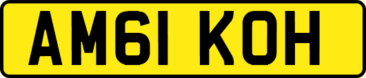 AM61KOH