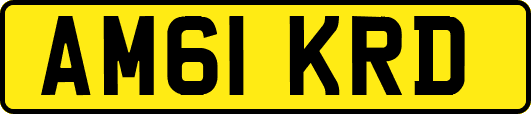 AM61KRD