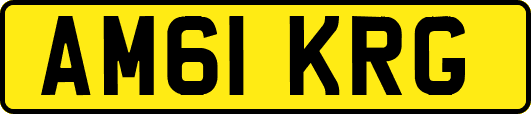 AM61KRG