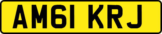 AM61KRJ