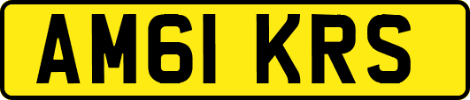 AM61KRS