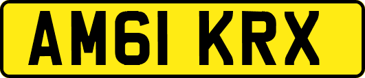 AM61KRX
