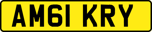 AM61KRY