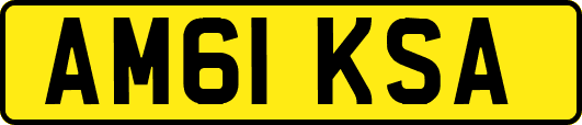 AM61KSA