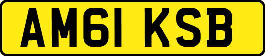 AM61KSB
