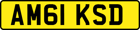 AM61KSD