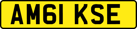 AM61KSE