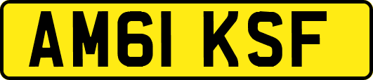 AM61KSF