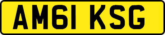 AM61KSG