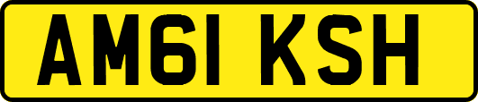 AM61KSH