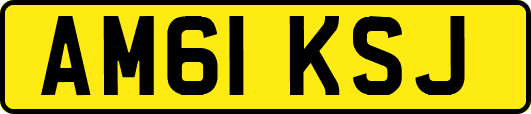 AM61KSJ