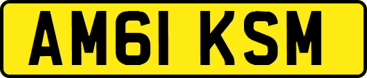 AM61KSM