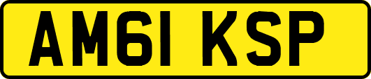AM61KSP
