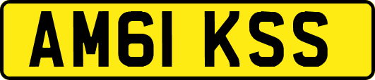 AM61KSS