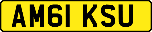 AM61KSU