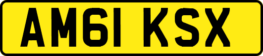 AM61KSX