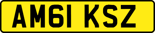 AM61KSZ