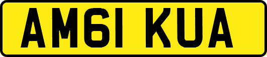 AM61KUA