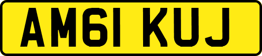 AM61KUJ