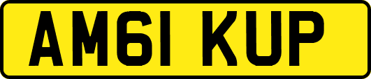 AM61KUP