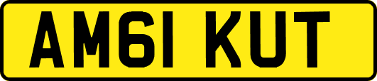 AM61KUT