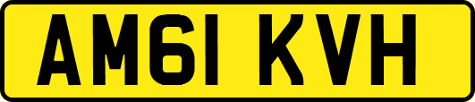 AM61KVH