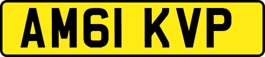 AM61KVP
