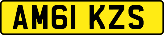 AM61KZS