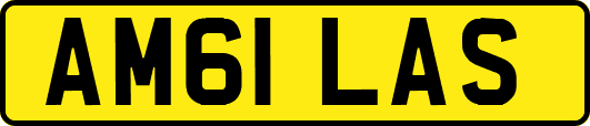 AM61LAS