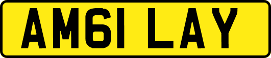 AM61LAY