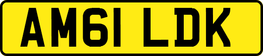 AM61LDK