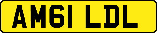 AM61LDL